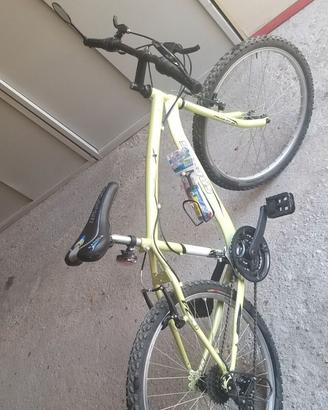 Bicicletta