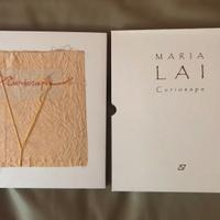 Maria Lai - Libri d'Arte con fili applicati