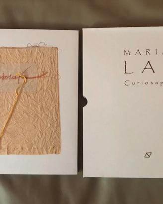 Maria Lai - Libri d'Arte con fili applicati