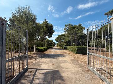 Villa immersa nella macchia mediterranea