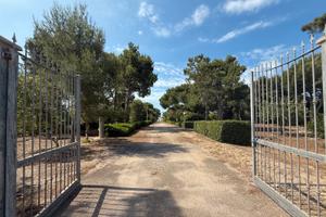 Villa immersa nella macchia mediterranea