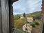 Immagine 15