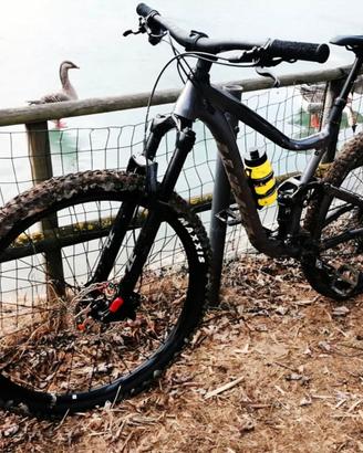 Giant Trance 3 2020