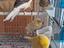 Immagine 6