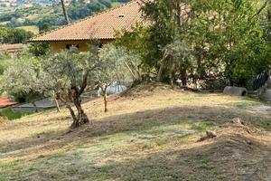 Terreno in zona completamento B2