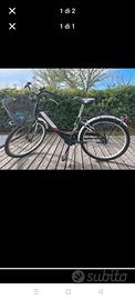 bici ruote da 24