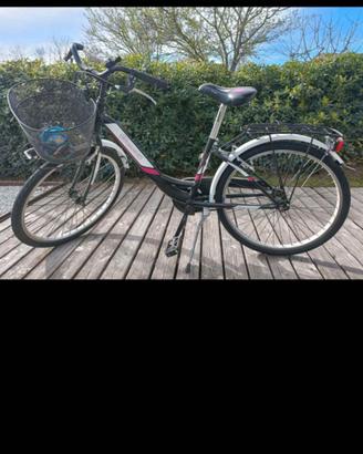 bici ruote da 24