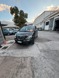 Lancia musa  2008
