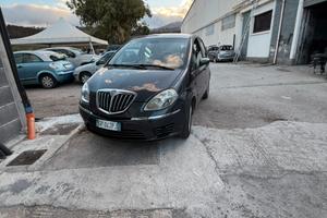 Lancia musa  2008