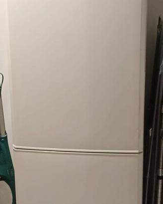 FRIGO SAMSUNG NO FROST modello RL37LCSW.