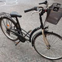 Bicicletta Olandese
