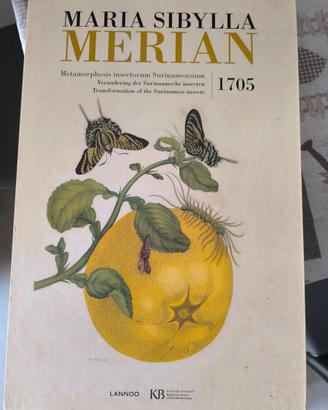 Libro