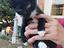 Immagine 4