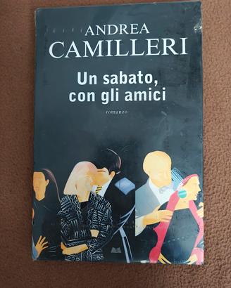 Romanzi Andrea Camilleri e Giorgio Montefoschi