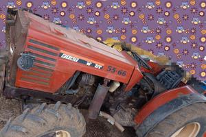 fiat 55 66 dt frutteto 