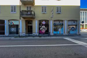 ATTIVITÀ A CREMONA