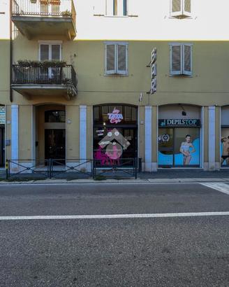 ATTIVITÀ A CREMONA