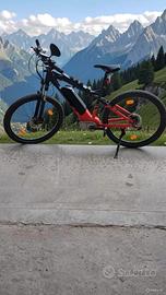 ebike 
