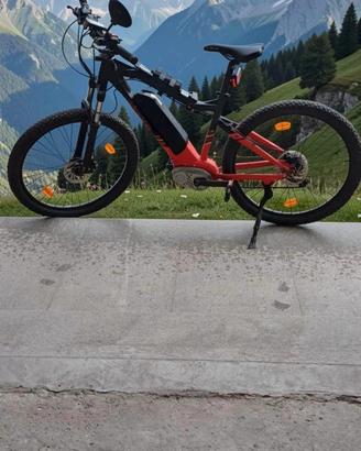 ebike 
