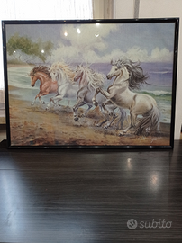 Quadri cavalli