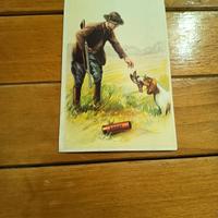 cartolina pubblicitaria cartucce sport