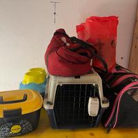 Lotto accessori cucciolo cani e gatti
