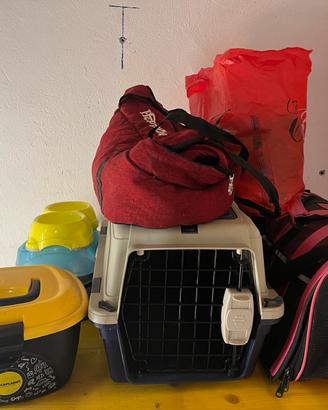 Lotto accessori cucciolo cani e gatti