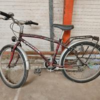 Bicicletta da ragazzo