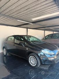 Fiat Punto 1.2 8V 5 porte Street
