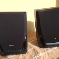 Due casse passive Panasonic
