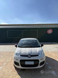 FIAT PANDA 1.2 BENZINA NEOPATENTATI 2017