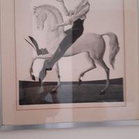 Litografia d'autore CARLO CANEVARI ( 1922/1996)