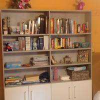 Libreria mondo convenienza 