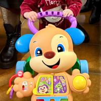 Fisher-Price Cagnolino Primi Passi