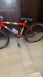 MTB da ragazzo marca Carraro