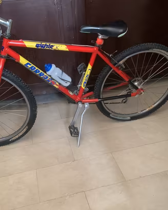 MTB da ragazzo marca Carraro