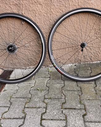 Ruote Roval SLX 24