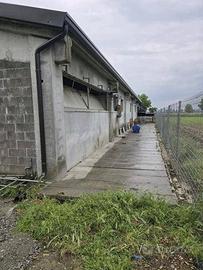 Immobile in asta di 1674 m² a San Gervasio Brescia