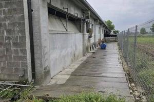 Immobile in asta di 1674 m² a San Gervasio Brescia