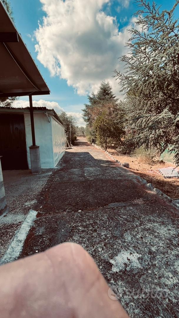 Terreno rustico - Altro