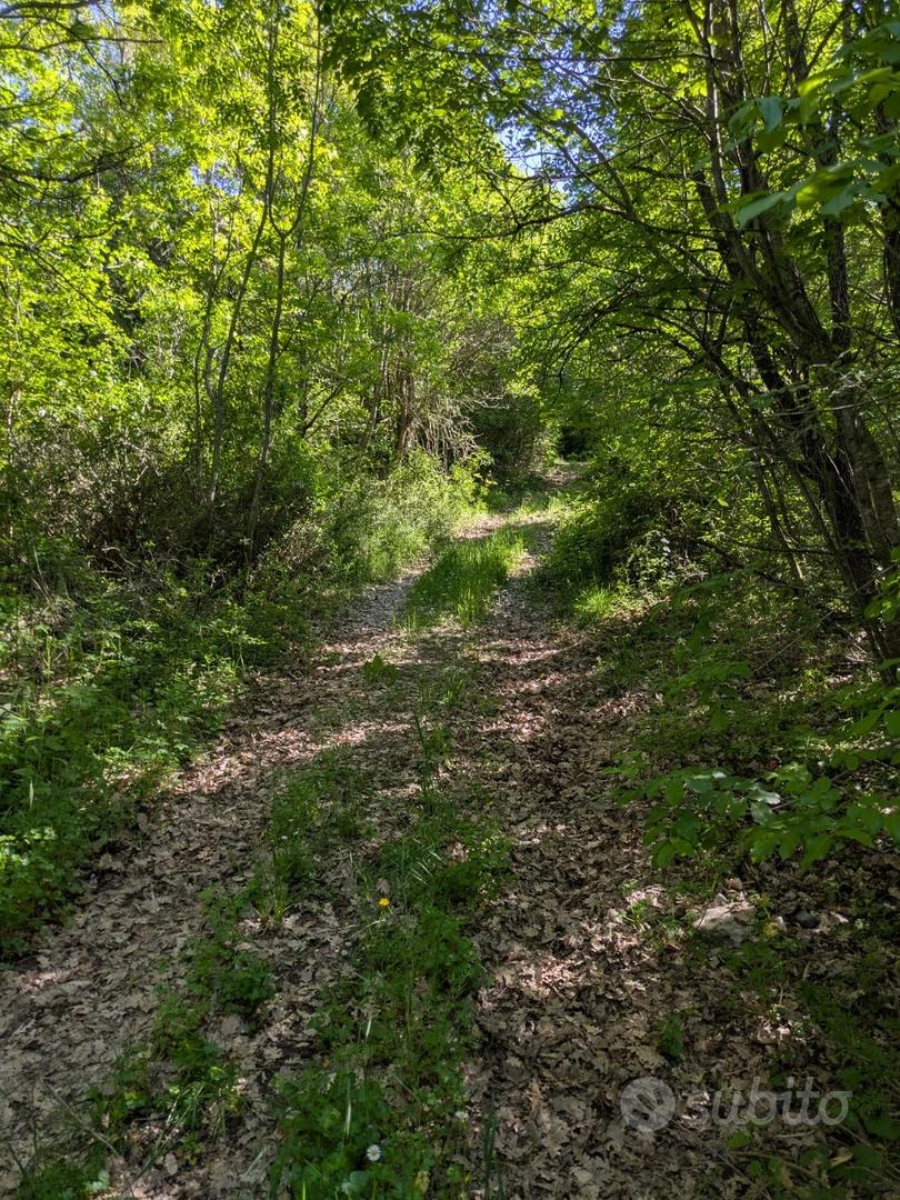 Terreno con bosco sul fiume - Vista 5