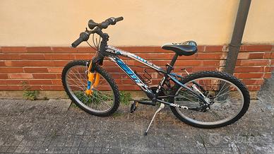 bicicletta ragazzo 10-12 anni