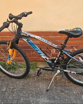 bicicletta ragazzo 10-12 anni