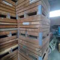 Bins contenitori legno