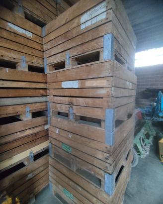 Bins contenitori legno