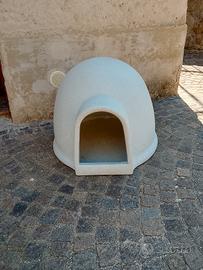 igloo