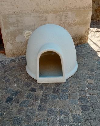 igloo