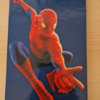 DVD Spiderman special edition