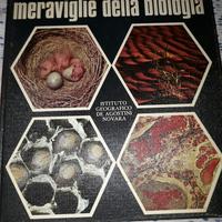 enciclopedia istituto geografico de agostini