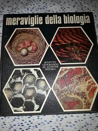 enciclopedia istituto geografico de agostini